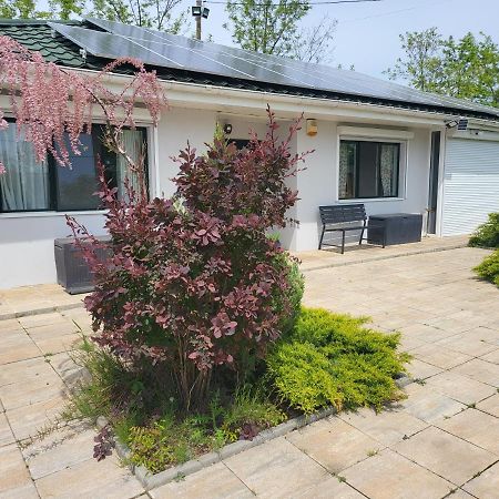 Casa Elis Piscina, Jacuzzy , Sauna, Ciubar Merei 외부 사진