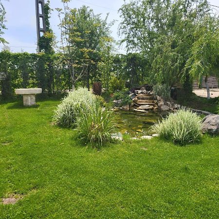 Casa Elis Piscina, Jacuzzy , Sauna, Ciubar Merei 외부 사진