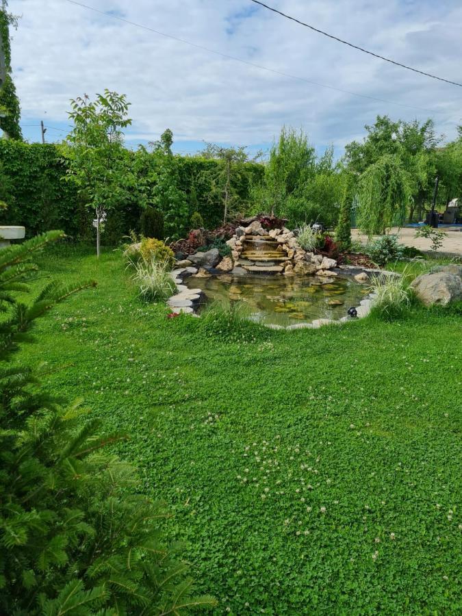 Casa Elis Piscina, Jacuzzy , Sauna, Ciubar Merei 외부 사진