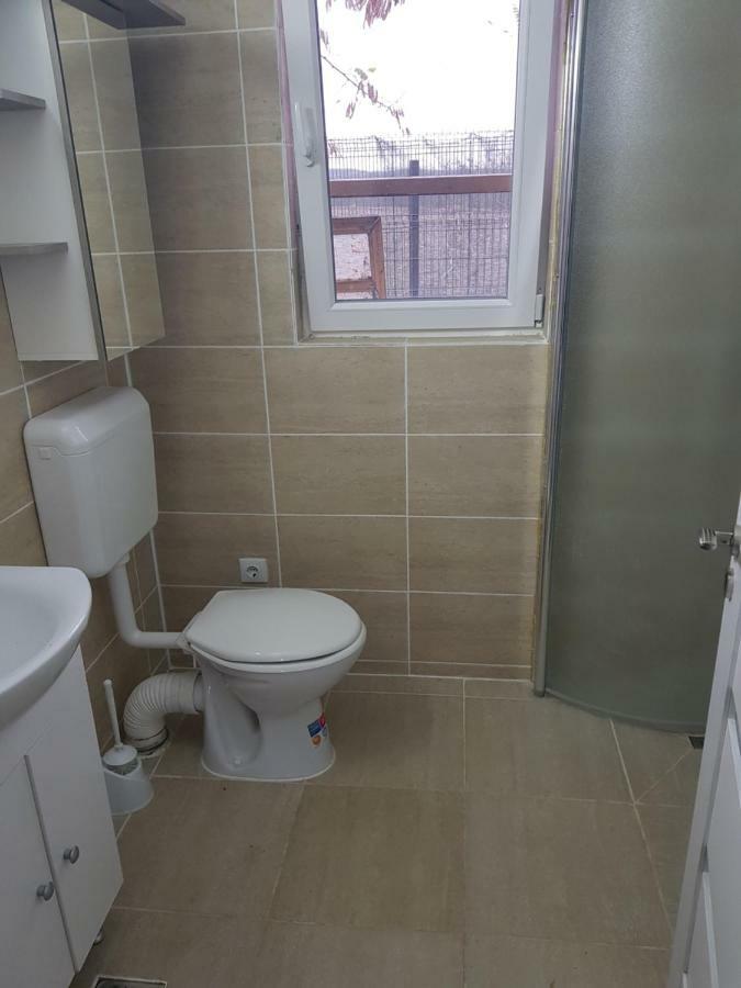 Casa Elis Piscina, Jacuzzy , Sauna, Ciubar Merei 외부 사진